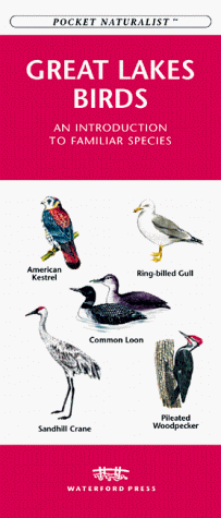 Book cover for Great Lakes Birds