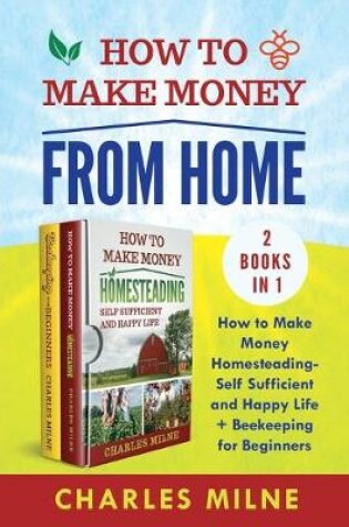 Cover of How to Make Money from Home (2 Books in 1)