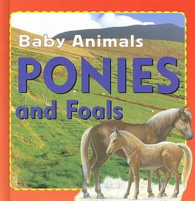 Book cover for Ponies and Foals