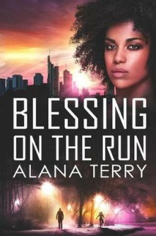 Cover of Blessing on the Run