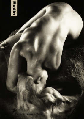 Book cover for Auguste Rodin Postcard Book