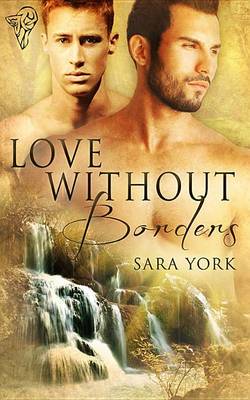 Book cover for Love Without Borders