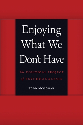 Book cover for Enjoying What We Don't Have