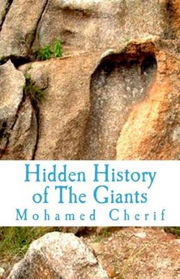 Book cover for Hidden History of The Giants