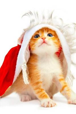 Book cover for A Cute Tabby Cat Trying to Wear Santa's Christmas Hat