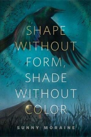 Cover of Shape Without Form, Shade Without Color