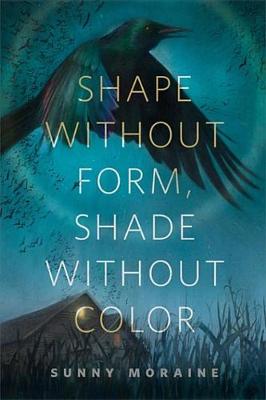 Book cover for Shape Without Form, Shade Without Color