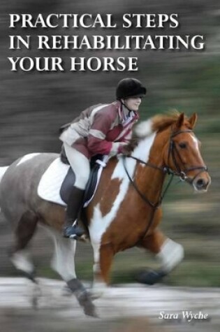 Cover of Practical Steps in Rehabilitating your Horse