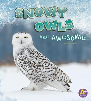 Book cover for Snowy Owls are Awesome (Polar Animals)