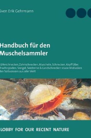 Cover of Handbuch für den Muschelsammler
