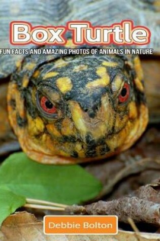 Cover of Box Turtle