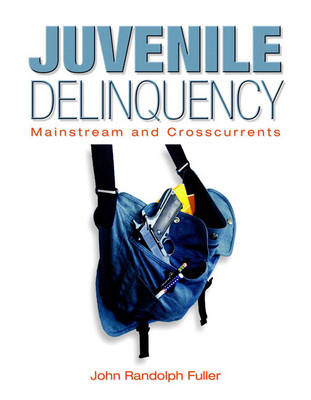 Book cover for Juvenile Delinquency