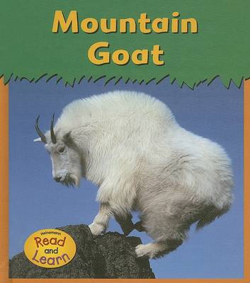 Book cover for Mountain Goat *zooani