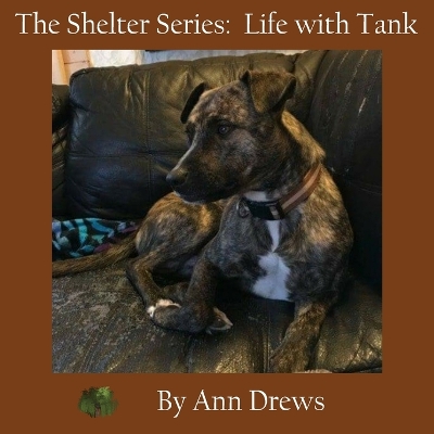 Book cover for The Shelter Series