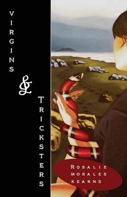 Book cover for Virgins & Tricksters