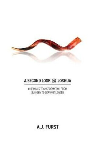Cover of A Second Look @ Joshua