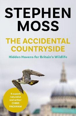 Book cover for The Accidental Countryside