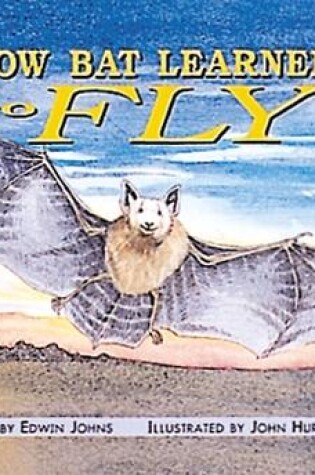 Cover of How Bat Learned to Fly (15)