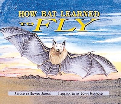 Book cover for How Bat Learned to Fly (15)