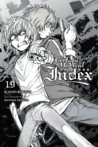 Cover of A Certain Magical Index, Vol. 19 (light novel)