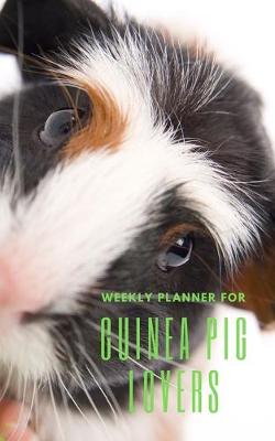 Book cover for Weekly Planner for Guinea Pig Lovers