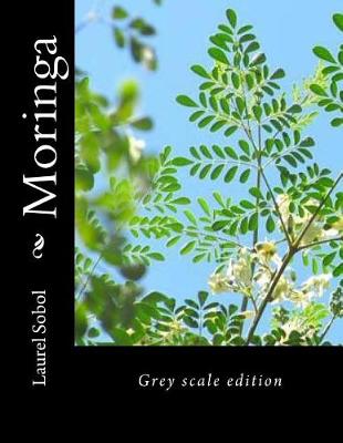 Book cover for Moringa