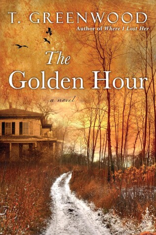 Book cover for The Golden Hour