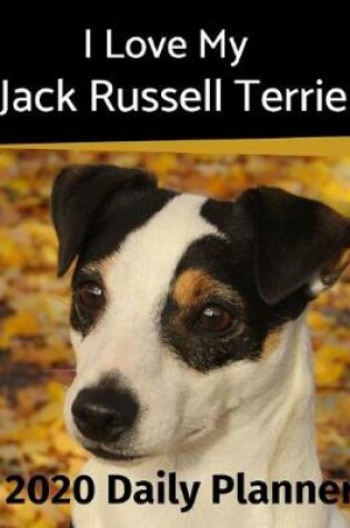 Cover of I Love My Jack Russell Terrier