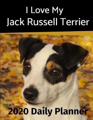 Cover of I Love My Jack Russell Terrier