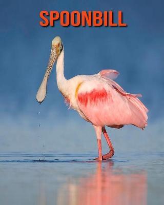 Book cover for Spoonbill