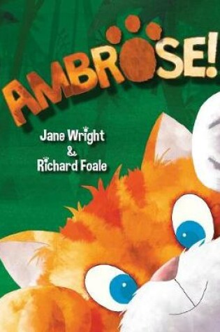 Cover of Ambrose