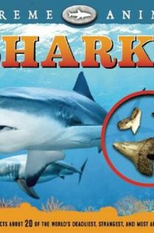 Cover of Extreme Animals: Sharks