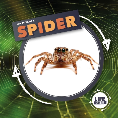 Cover of Life Cycle Of A Spider