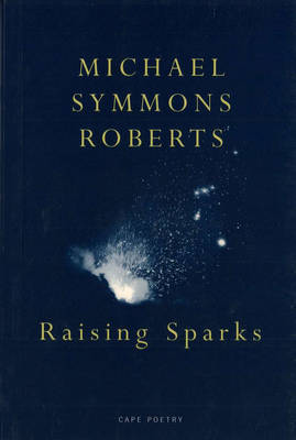 Book cover for Raising Sparks