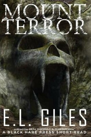 Cover of Mount Terror