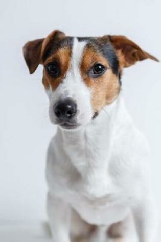 Cover of The Russell Terrier Dog Journal