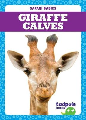 Book cover for Giraffe Calves