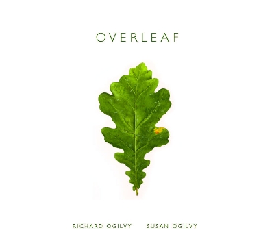 Book cover for Overleaf