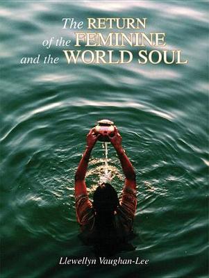 Book cover for The Return of Feminine and World Soul