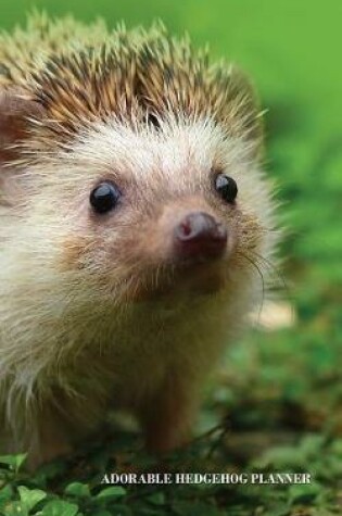 Cover of Adorable Hedgehog Planner