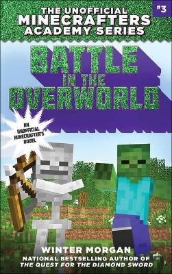 Book cover for Battle in the Overworld