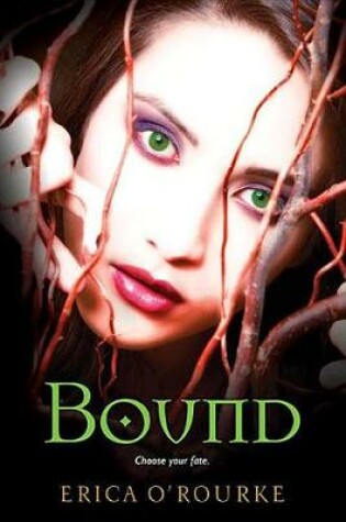 Cover of Bound