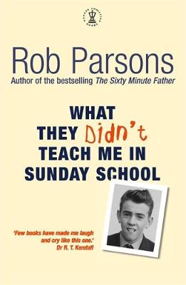 Book cover for What They Didn't Teach Me in Sunday School