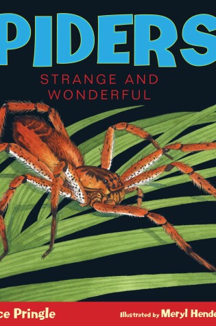 Cover of Spiders!