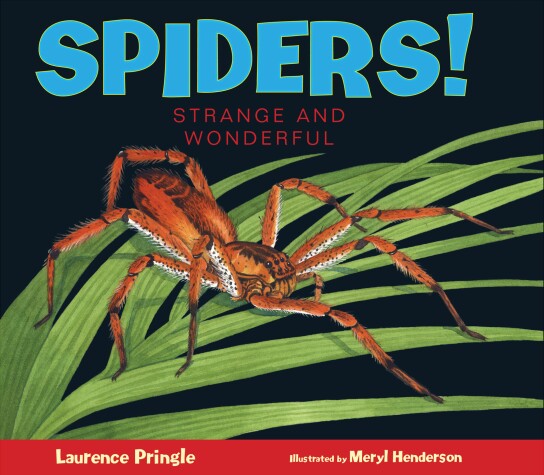 Cover of Spiders!