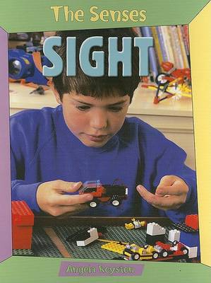 Book cover for Sight