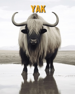 Book cover for Yak