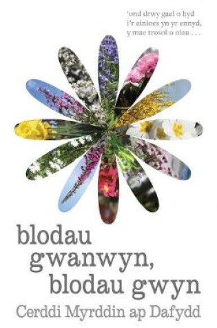 Cover of Blodau Gwanwyn, Blodau Gwyn - Cerddi Myrddin Ap Dafydd