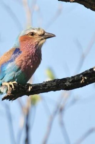 Cover of Blue Pink and Green Lilac Breasted Roller