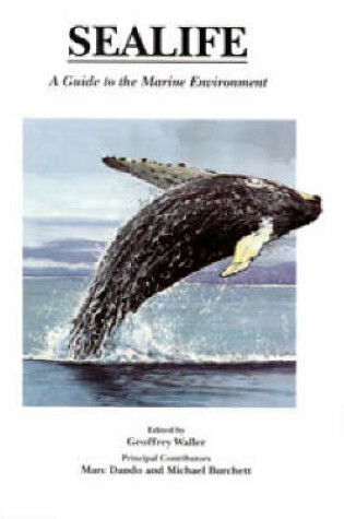 Cover of Sealife